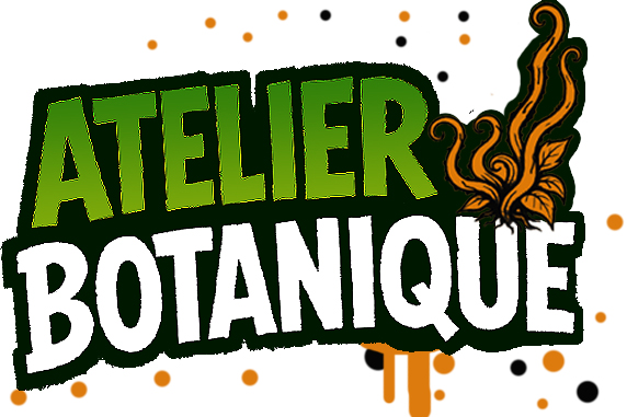 Atelier Créatif Halloween atelier botanique Atelier Créatif Halloween atelier botanique