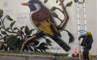 Interview Joris Delacour